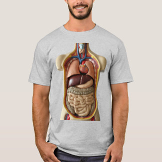 Camiseta Anatomia órgãos internos Pessoa transparente T-shi