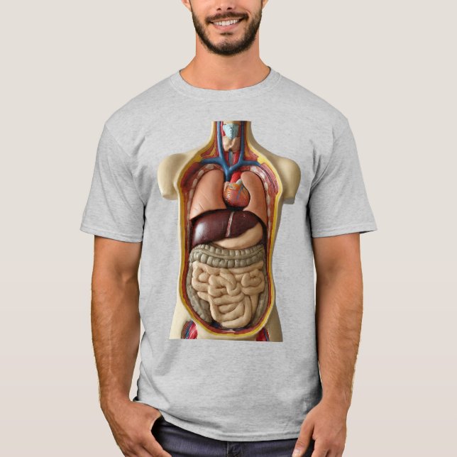 Camiseta Anatomia órgãos internos Pessoa transparente T-shi (Frente)