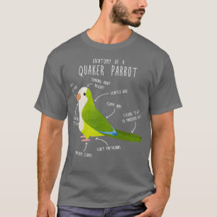 Camiseta Anatomia Verde Quaker