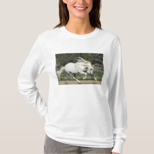 Camiseta Andaluz Stallion correndo, PR