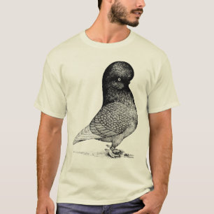 Camiseta Andaluz Tumbler Pigeon