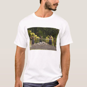Camiseta Andarilhos do fogo, Centro Cultural Polinésio, Vit