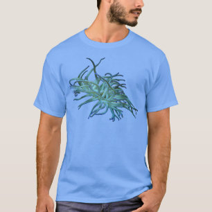 Camiseta Anemona 4