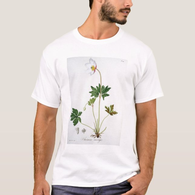 Camiseta Anêmona de madeira de "Phytographie Medicale" por (Frente)