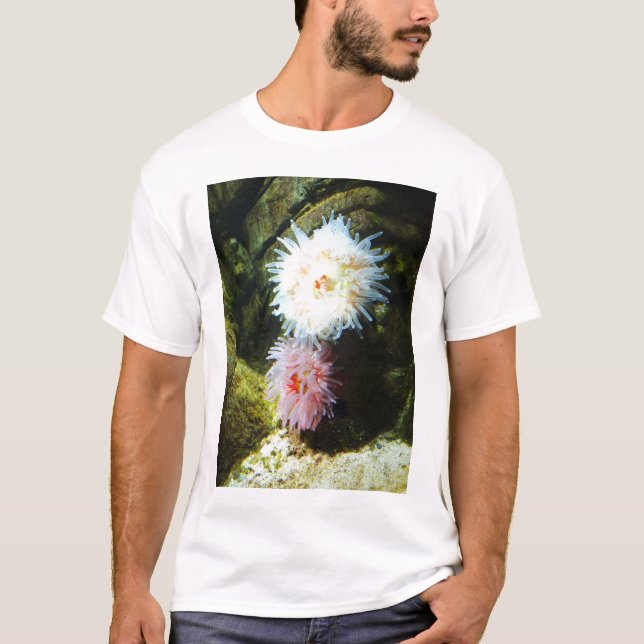 Camiseta Anêmonas do mar (Frente)