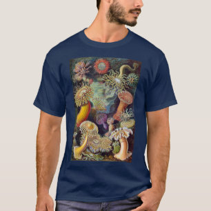 Camiseta Anêmonas-do-Mar, Actiniae Vintage por Ernst Haecke