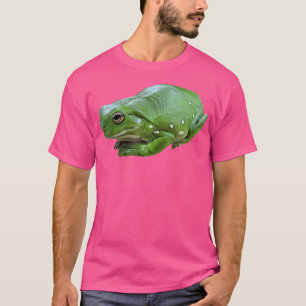 Camiseta Anfíbio Do Sapo Da Árvore Sapo Burro