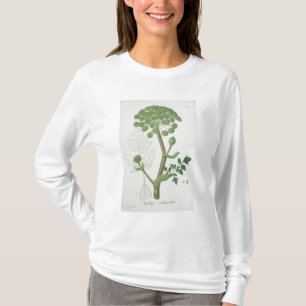 Camiseta Angélica Archangelica 'de Phytographie Medicale