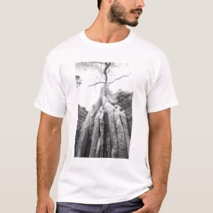 Camiseta Angkor Camboja, Árvore Ta Prohm