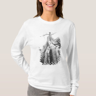 Camiseta Angkor Camboja, Árvore Ta Prohm
