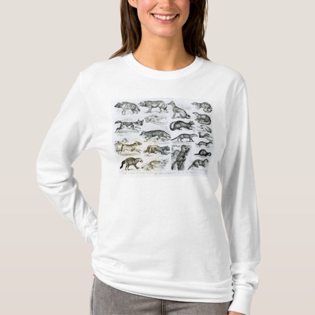 Camiseta Animais carnívoros (Frente)