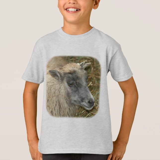 Camiseta Animais de Fazenda de Ovelha (Frente)