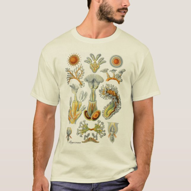 Camiseta Animais de musgo (Frente)