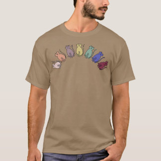 Camiseta Animais do Arco-Íris de Gatos Equilibrados