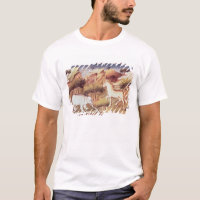 Animais Mythical na região selvagem