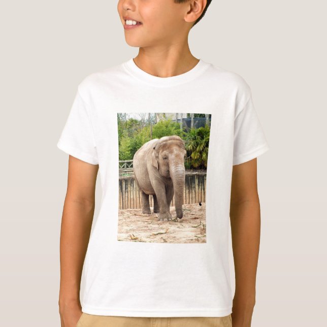 Camiseta Animal elefante (Frente)