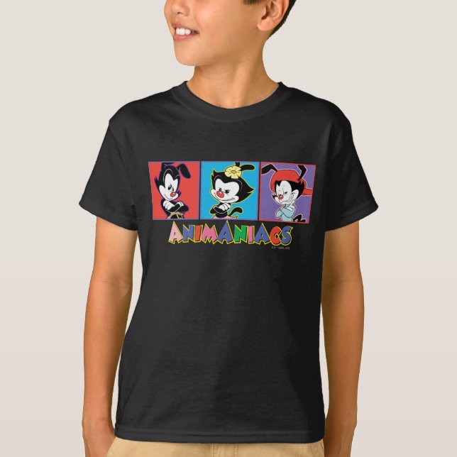 Camiseta Animaniacs | Gráfico do painel Yakko, Dot e Wakko (Frente)