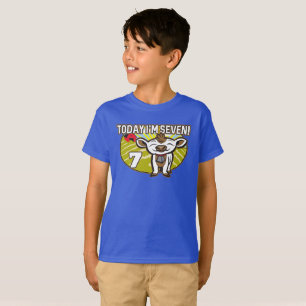 Camiseta Aniversário de 7 do garoto hoje eu tenho sete anos