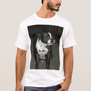 Camiseta Anjo do Innocent de Boston Terrier
