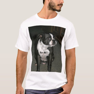 Camiseta Anjo do Innocent de Boston Terrier