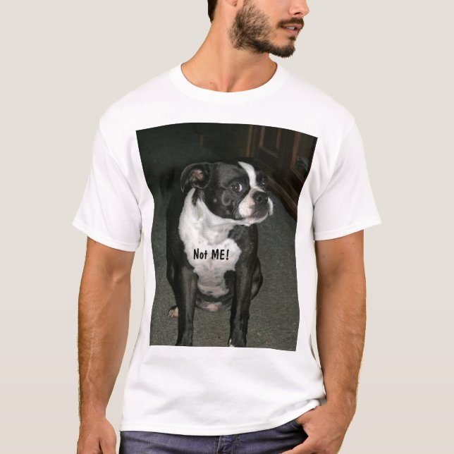 Camiseta Anjo do Innocent de Boston Terrier (Frente)