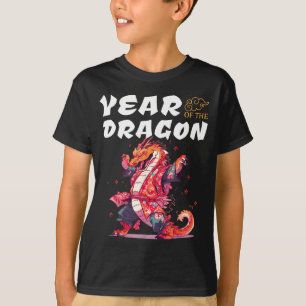 Camiseta Ano Do Dragão Dragões Divertidos Zodíaco Chinês Si