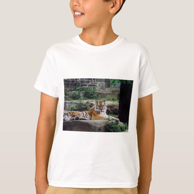 Camiseta Ano do Tigre (Frente)