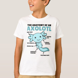 Camiseta Anotação Axolotl Anatomia De Um Axolotl