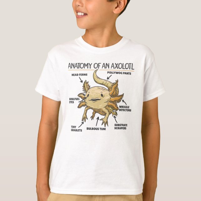 Camiseta Anotação Axolotl Anatomia De Um Axolotl (Frente)