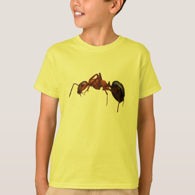 Camiseta Ant de Fogo (Frente)
