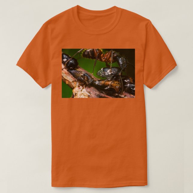 Camiseta Ant Farming Treehoppers (Frente do Design)