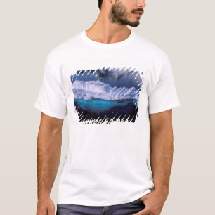 Camiseta Antártica, Baía do Paraíso. Iceberg no cristal