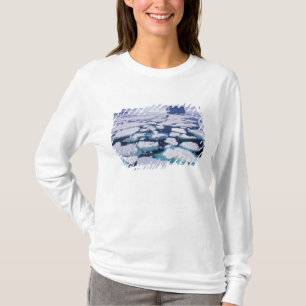 Camiseta Antártica, fluxo de gelo.