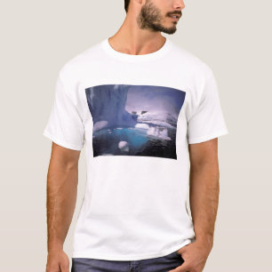 Camiseta Antártica. Fugas antárticas 2