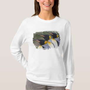 Camiseta Antártica, Ilha da Geórgia do Sul (Reino Unido), R