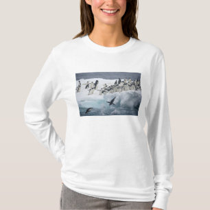Camiseta Antártica, Ilha Paulet. Pinguins addeliados