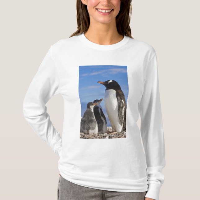 Camiseta Antártica, Neko Cove (Porto). Pinguim Gentoo 2 (Frente)