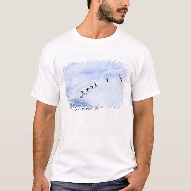 Camiseta Antártica, Península Antártica. Chinstrap (Frente)