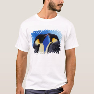 Camiseta Antártica, Pinguins Imperadores