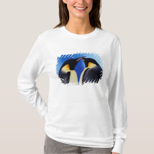 Camiseta Antártica, Pinguins Imperadores