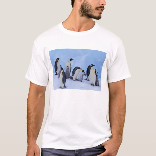 Camiseta Antártica, Pinguins Imporadores (Frente)