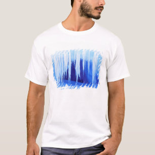 Camiseta Antártica, Território Antártico Australiano. 2
