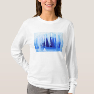 Camiseta Antártica, Território Antártico Australiano. 2