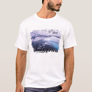 Camiseta Antártida. Expedição através de paisagens de gelo