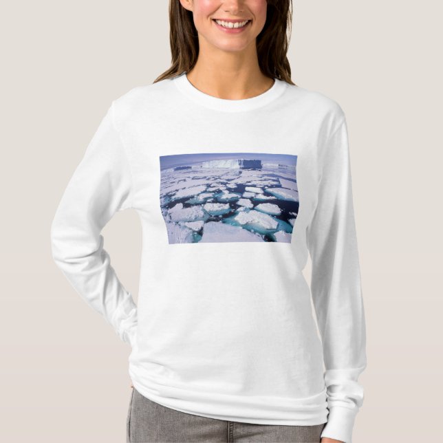 Camiseta Antártida, Fluxo de gelo. (Frente)