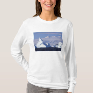 Camiseta Antártida, Ilha Boothe, Sol da tarde
