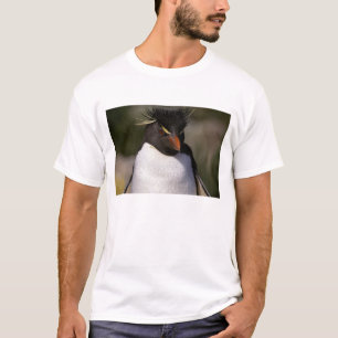 Camiseta Antártida, Ilhas Subantárticas, Sul 5