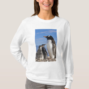 Camiseta Antártida, Neko Cove (Porto). Pinguim-de-gentes 2