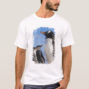 Camiseta Antártida, Neko Cove (Porto). Pinguim-de-gentoo 2