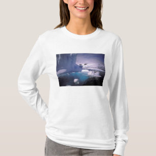 Camiseta Antártida. Paisagens de gelo antárticas 2
